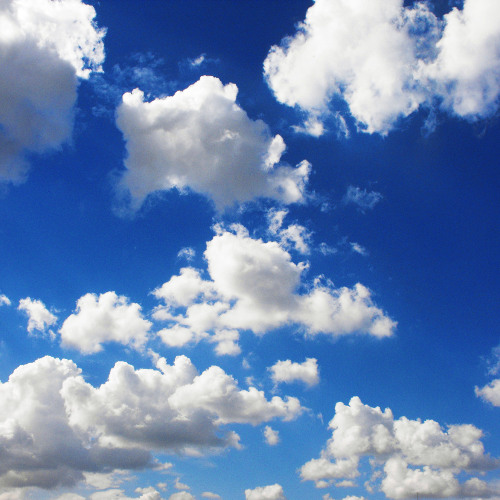 🪽pecked & nonplussed🪽