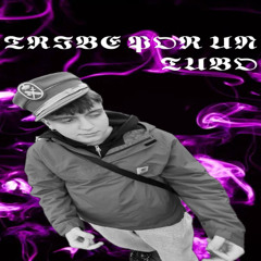 ✯ tRïbë pör üN TÜbö ✯