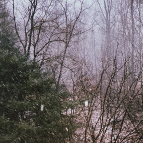 Feral Hearts (Demo)
