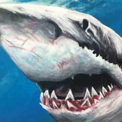 Swim and Hide Like a Shark