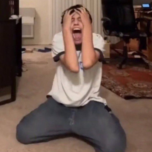 why is this called koala (2023)