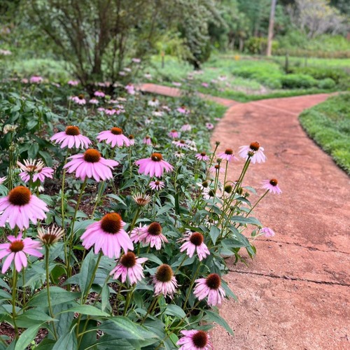 04.03.2024 - Cap. XI - Amar o Próximo Como a Si Mesmo - A Lei de Amor (28)