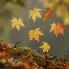 Autumn Leaves - Ballad | A Tale about Love, Time & Letting Go