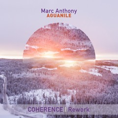 Marc Anthony - Aguanile (Coherence Rework)
