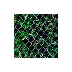 PREMIERE: 504 Aquatic - Seraphim