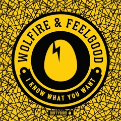 Wolfire & FeelGood - I Know What You Want [BIRDFEED]