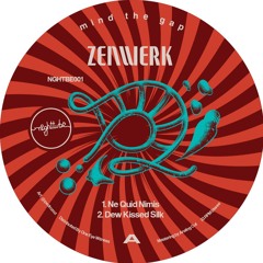 NEW HIT: Zenwerk - Ne Quid Nimis [Night Tube Records]