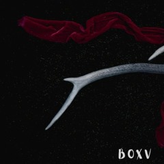 BOXV (Prod. by MIXOMIX) - Foi Indo