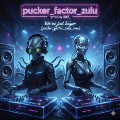 pucker_factor_zulu - We’ve just begun (pucker_factor_zulu_rmx)