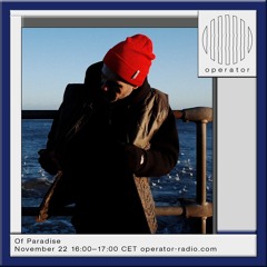 Paul P Mixes / Radio