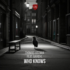Who Knows (feat. David K.)