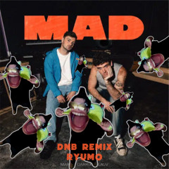 Martin Garrix & Lauv - MAD DnB REMIX (Ryumo)