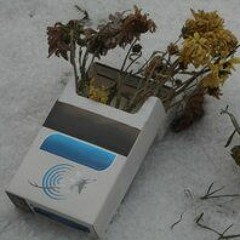 Рвота - Здесь раньше что-то было