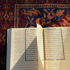 آياتٌ وتلاوات