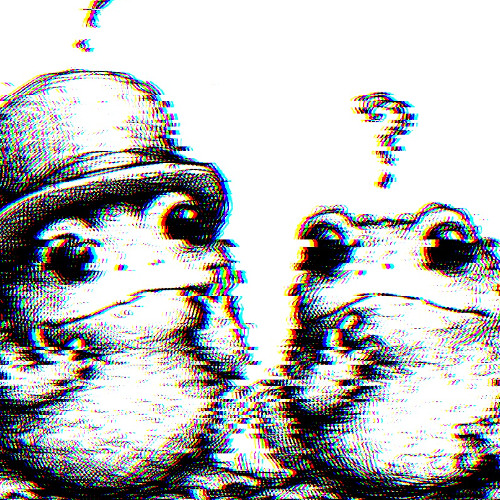 toad toad
