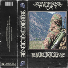 BRICKLINE