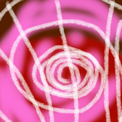 feel your love