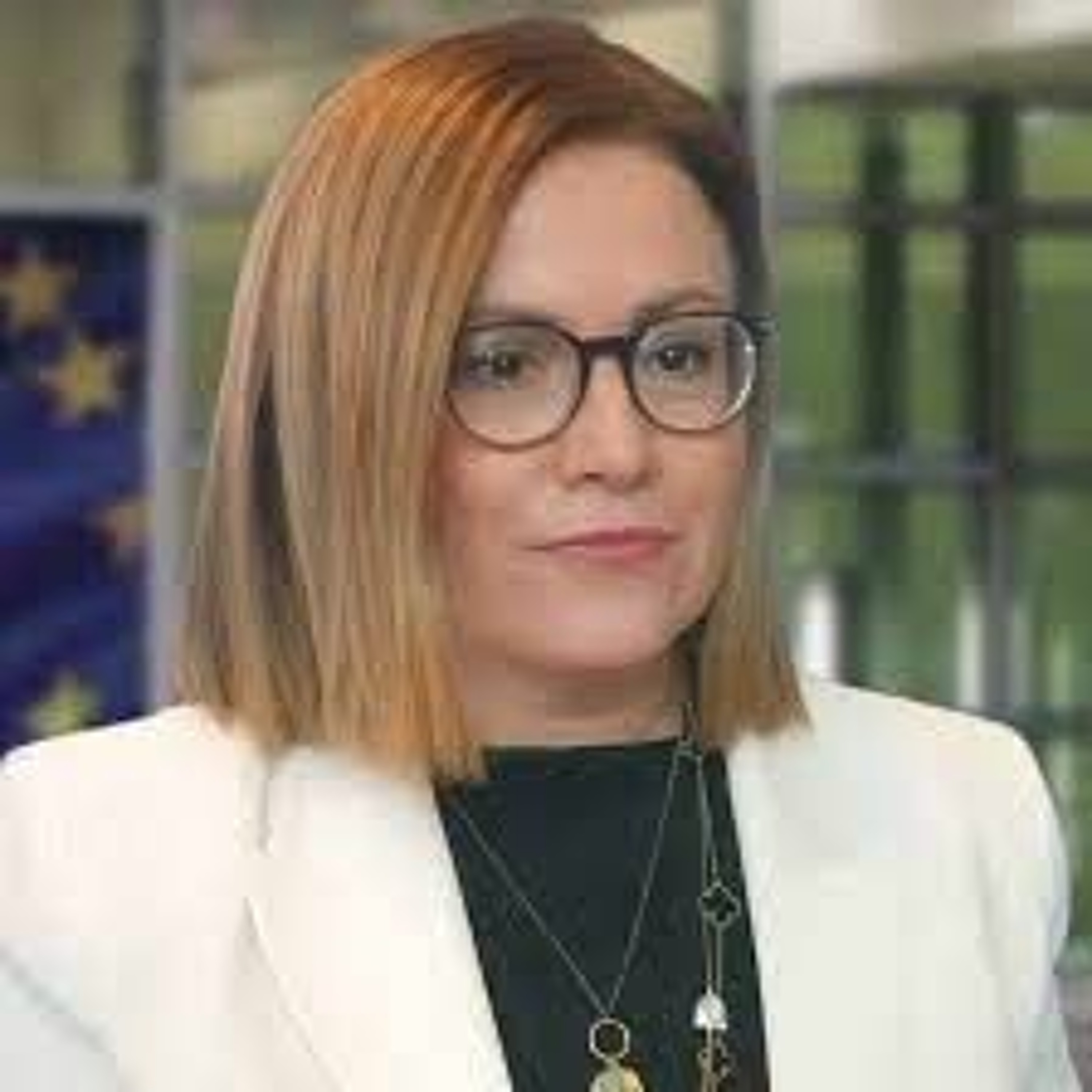 Σπυράκη Μαρία για ερώτηση στην Ευρωβουλή για αγριοκούνελα episode artwork