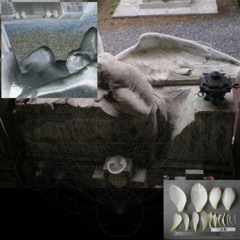 it means nothing w/ gypsum (sam milstam)