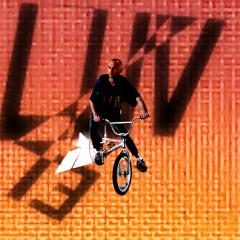 Luv 13