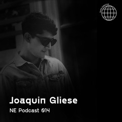 014 NE PODCAST - Joaquín Gliese