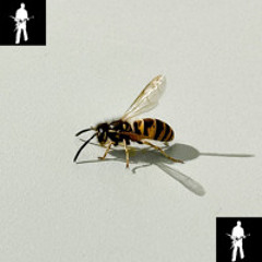 трудно простить guitar remix