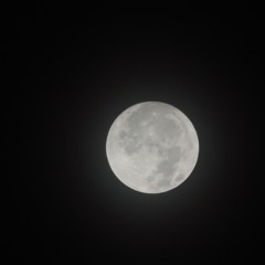 عبدالمنعم العامري - يامرحبا ماناح طير  2025.m4a