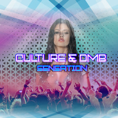 Dmb & Culture - Sensation