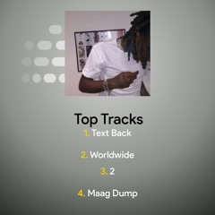 prettifun x ginseng type beat