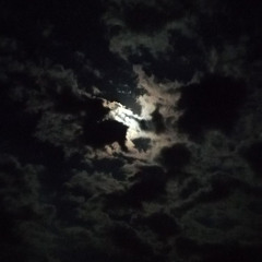 خلـَـنا نبقـى سِوا نعيّش الغرام 🕊