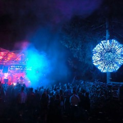 Jonas Leibinger / From Bass Till Dawn @ Waldtanzgefahr 2024
