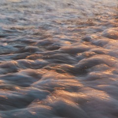 巳(龍涎香ver.) / Serpent(Ambergris ver.)