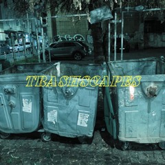 TRASHSCAPES 19.12.25 - vihr