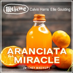 Madame Vs Calvin Harris & Ellie Goulding - Aranciata Miracle (Mickey Extended Mashup)