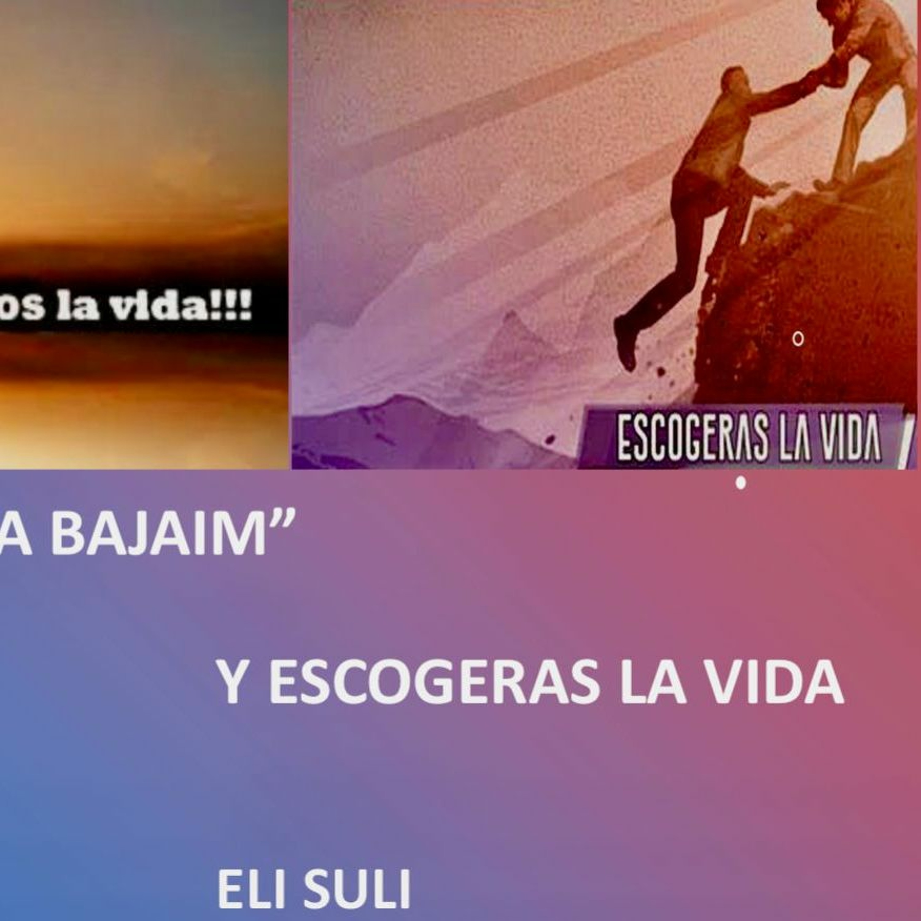 Eli Suli