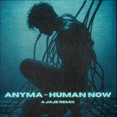 Anyma - Human Now (JaJe Remix)