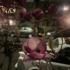 improvisation.01_17_22