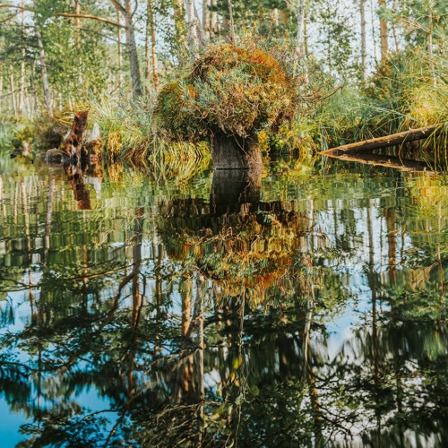 Deep Breakfast 231 ~ Lychee