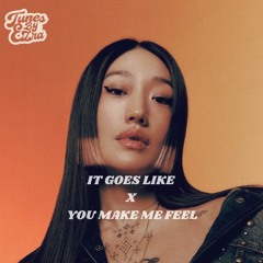 It Goes Like X You Make Me Feel (Peggy Gou X Cobra Starship)