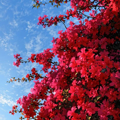 Âu Văn Kháng ft. Ngọc Luyến - Hóa ra (demo)