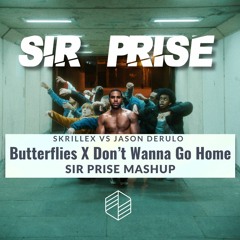 Butterflies X Don't Wanna Go Home (SIR PRISE MASHUP)