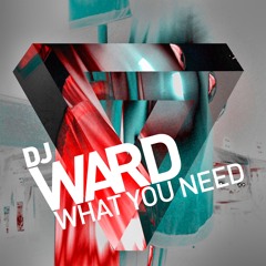 What You Need (Radio Edit)
