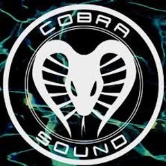 Noise B2b BlackCobra OpenAir LinnaHALL 6.09.24