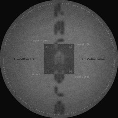 Tadan - Muses (12" snippets) [127AREA005]