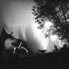 Thy Land (feat. DJ Geneviève)