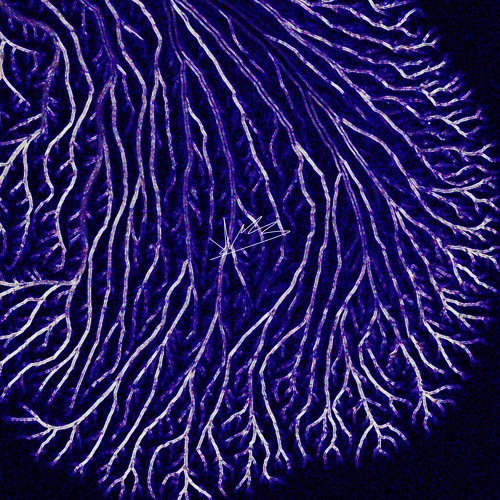 a print of fireworks