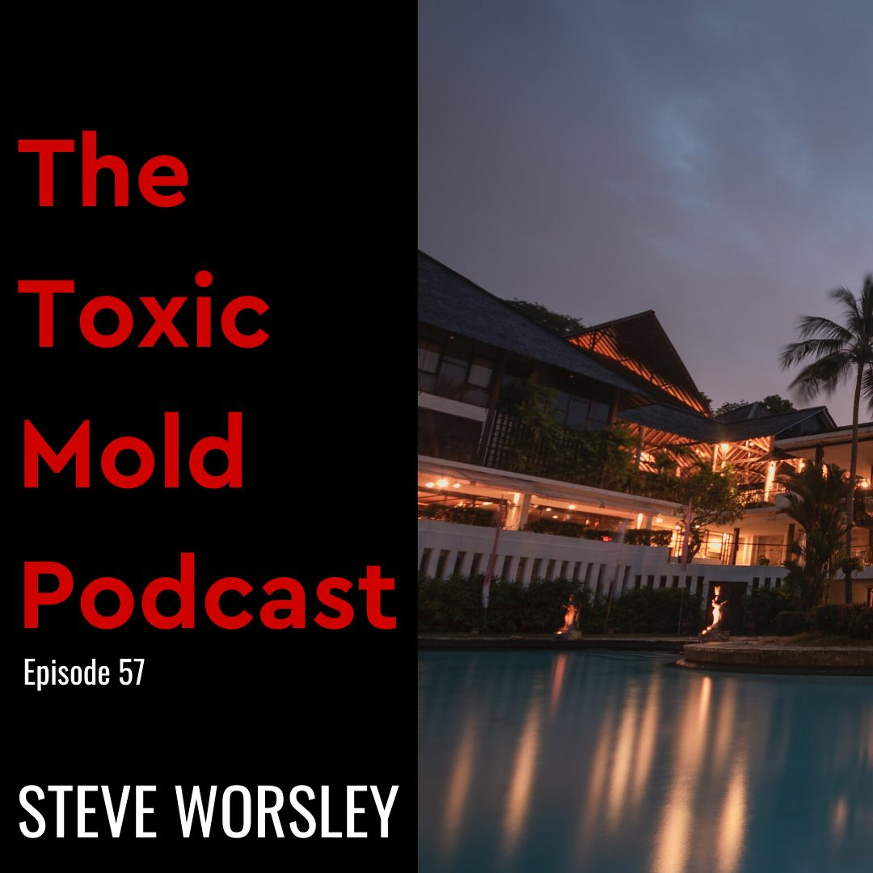 The Toxic Mold Podcast