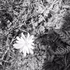 Fast Shippin' [Part 1]