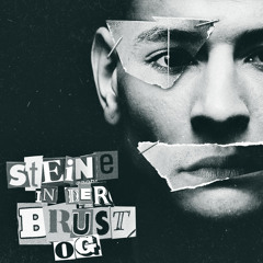 Steine in der Brust (feat. Rafik)