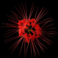 Interpretation mixed